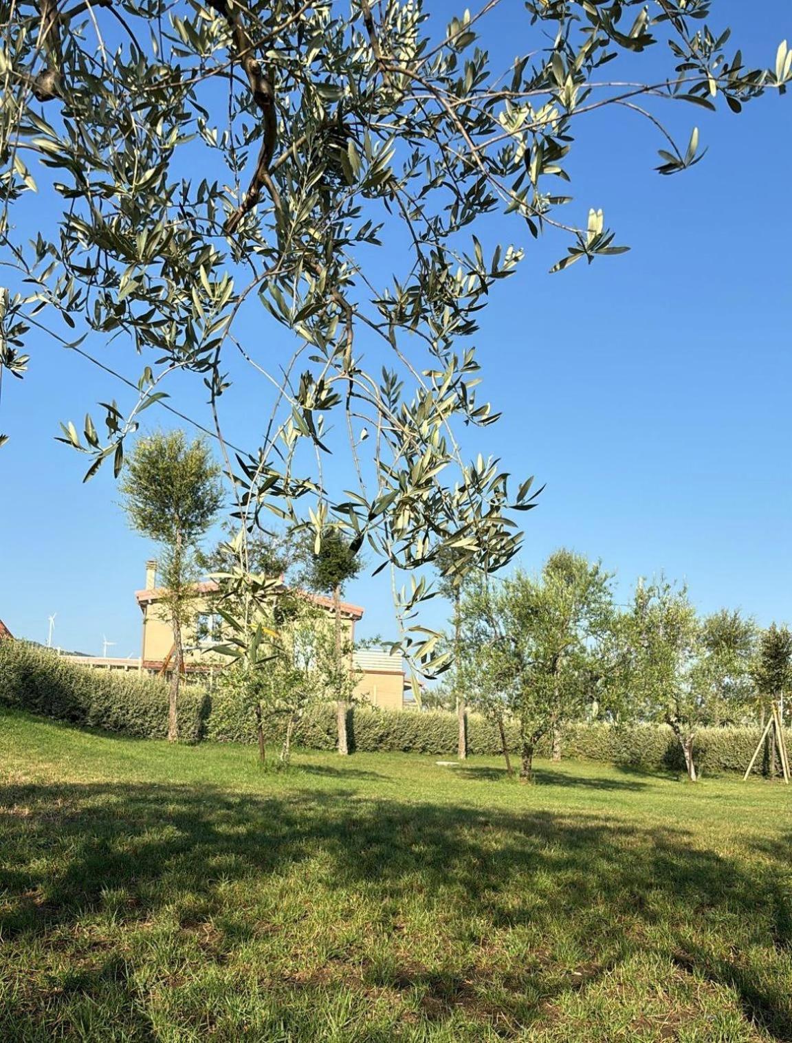 Masseria Spinale Wine Resort 멜피 외부 사진